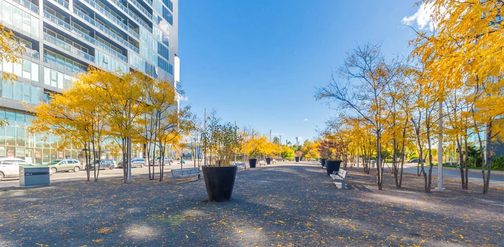 River City 4, Harris Square